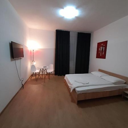 Piata Unirii- 1 Room Studio Apartment Temeşvar Dış mekan fotoğraf