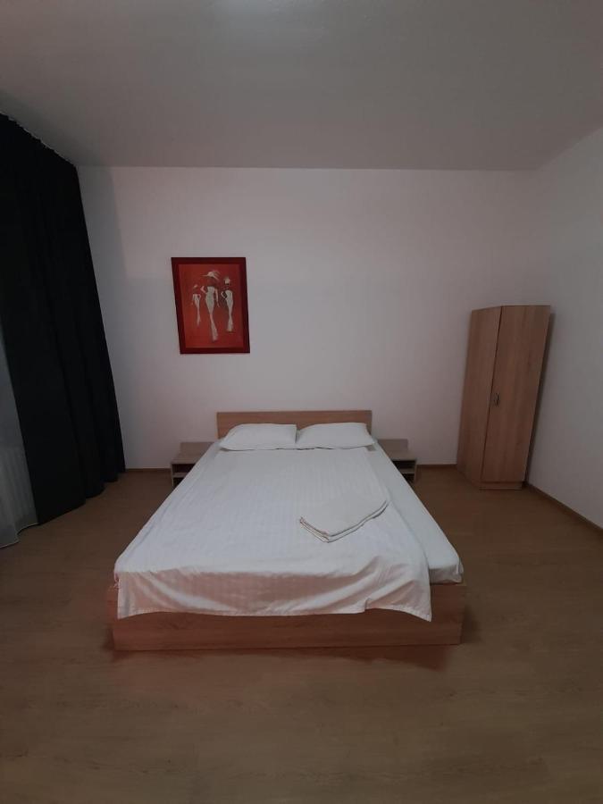 Piata Unirii- 1 Room Studio Apartment Temeşvar Dış mekan fotoğraf