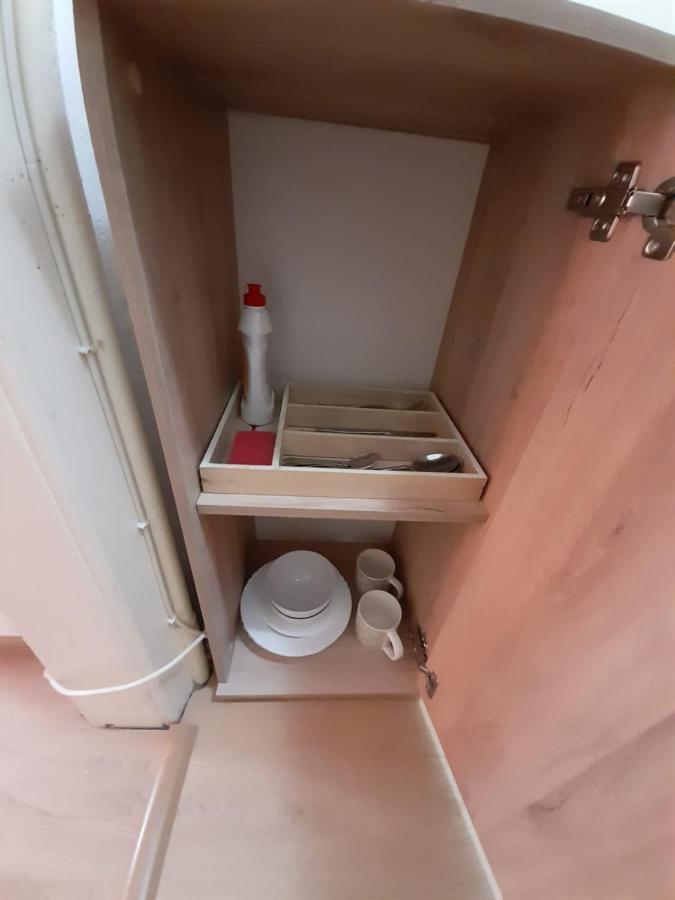 Piata Unirii- 1 Room Studio Apartment Temeşvar Dış mekan fotoğraf