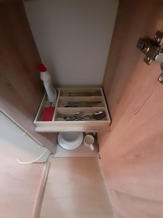 Piata Unirii- 1 Room Studio Apartment Temeşvar Dış mekan fotoğraf